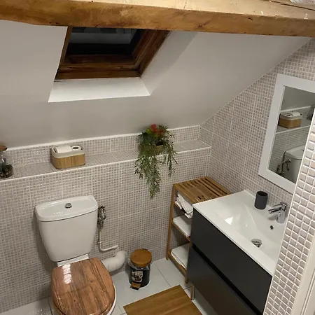 Vakantiehuis Des Marots Troyes